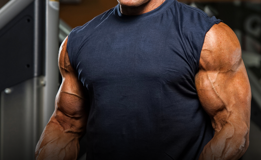 Muscle mass